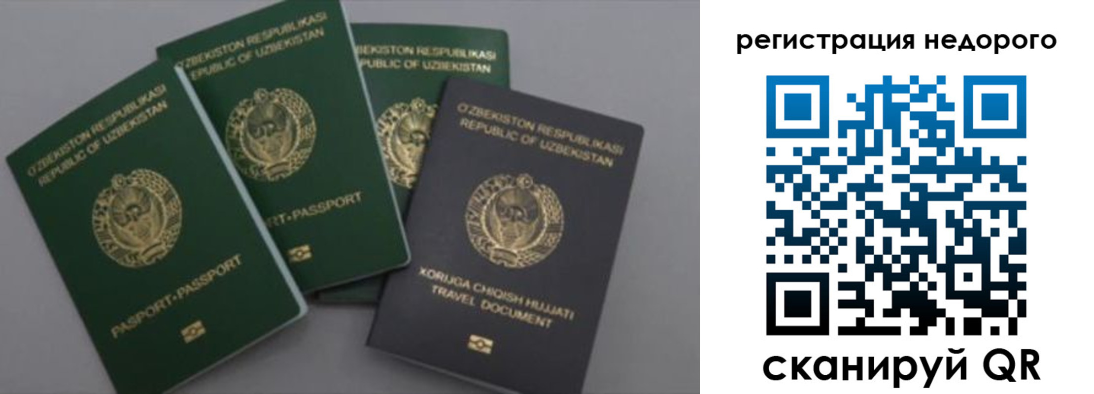 пропишу в квартире в Невинномысске